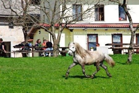 346605Turisticna kmetija Abram 1